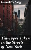 Tin-Types Taken in the Streets of New York (eBook, ePUB)