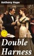 Double Harness (eBook, ePUB) - Bild 1