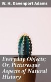 Everyday Objects; Or, Picturesque Aspects of Natural History (eBook, ePUB)
