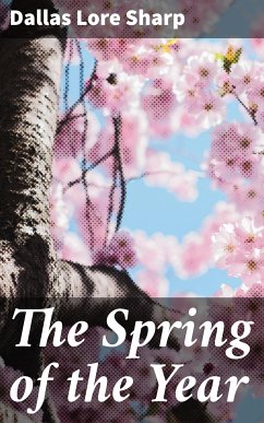 The Spring of the Year (eBook, ePUB) - Sharp, Dallas Lore