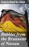 Bubbles from the Brunnens of Nassau (eBook, ePUB)