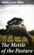 The Mettle of the Pasture (eBook, ePUB) - Bild 1