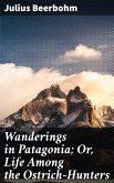 Wanderings in Patagonia; Or, Life Among the Ostrich-Hunters (eBook, ePUB)