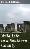 Wild Life in a Southern County (eBook, ePUB)