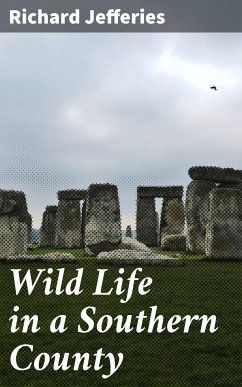 Wild Life in a Southern County (eBook, ePUB) - Jefferies, Richard