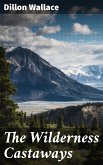 The Wilderness Castaways (eBook, ePUB)