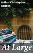At Large (eBook, ePUB) - Bild 1