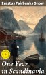 One Year in Scandinavia (eBook, ePUB) - Bild 1