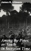 Among the Pines; or, South in Secession Time (eBook, ePUB)