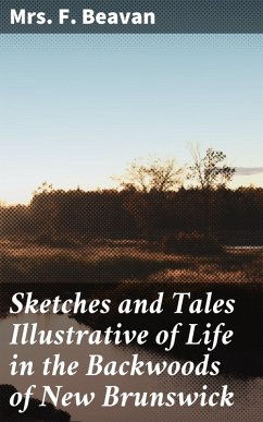 Sketches and Tales Illustrative of Life in the Backwoods of New Brunswick (eBook, ePUB) - Beavan, F.