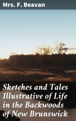 Sketches and Tales Illustrative of Life in the Backwoods of New Brunswick (eBook, ePUB) - Beavan, F. , Mrs.