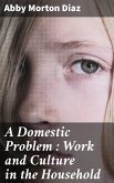 A Domestic Problem : Work and Culture in the Household (eBook, ePUB)