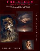 The Storm; Make Me Kill You (Carla Larsen Mystery, #4) (eBook, ePUB)