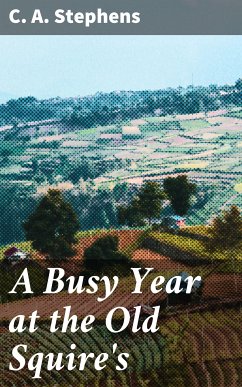 A Busy Year at the Old Squire's (eBook, ePUB) - Stephens, C. A.