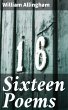 Sixteen Poems (eBook, ePUB) - Bild 1