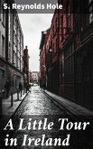 A Little Tour in Ireland (eBook, ePUB)