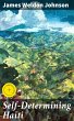 Self-Determining Haiti (eBook, ePUB) - Bild 1