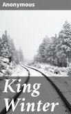 King Winter (eBook, ePUB)