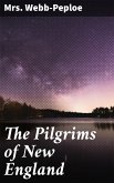 The Pilgrims of New England (eBook, ePUB)