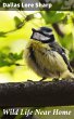 Wild Life Near Home (eBook, ePUB) - Bild 1