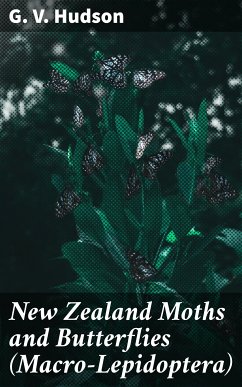 New Zealand Moths and Butterflies (Macro-Lepidoptera) (eBook, ePUB) - Hudson, G. V.