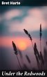 Under the Redwoods (eBook, ePUB) - Bild 1