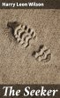 The Seeker (eBook, ePUB) - Bild 1