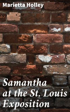 Samantha at the St. Louis Exposition (eBook, ePUB) - Holley, Marietta