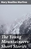 The Young Mountaineers: Short Stories (eBook, ePUB)