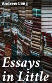 Essays in Little (eBook, ePUB)