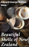 Beautiful Shells of New Zealand (eBook, ePUB)