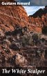The White Scalper (eBook, ePUB) - Bild 1