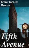 Fifth Avenue (eBook, ePUB)
