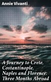 A Journey to Crete, Costantinople, Naples and Florence: Three Months Abroad (eBook, ePUB)