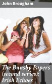 The Bunsby Papers (second series): Irish Echoes (eBook, ePUB)