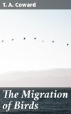 The Migration of Birds (eBook, ePUB)