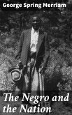 The Negro and the Nation (eBook, ePUB)