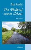 Der Flusslauf meines Lebens (eBook, ePUB)