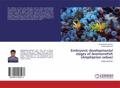 Embryonic developmental stages of Anemonefish (Amphiprion sebae)