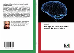 Sviluppo del cervello in Homo sapiens dal feto all'adulto - O'Daly, Jose
