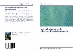 Wetterbedingungen der Meere und Dunkeladaptation - Dmitrieva, Tatyana;Dmitriev, Vladimir;Bojkov, Aleksej