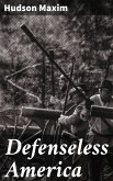 Defenseless America (eBook, ePUB)