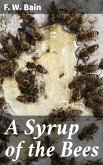A Syrup of the Bees (eBook, ePUB)