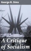 A Critique of Socialism (eBook, ePUB)