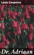 Dr. Adriaan (eBook, ePUB) - Bild 1
