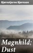 Magnhild; Dust (eBook, ePUB) - Bild 1