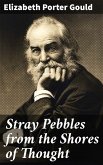 Stray Pebbles from the Shores of Thought (eBook, ePUB)