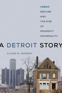 Cover A Detroit Story (eBook, ePUB)