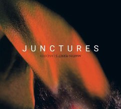 Junctures (Lp) - Martin Perret'S L'Anderer