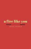 a fire like you (eBook, ePUB)